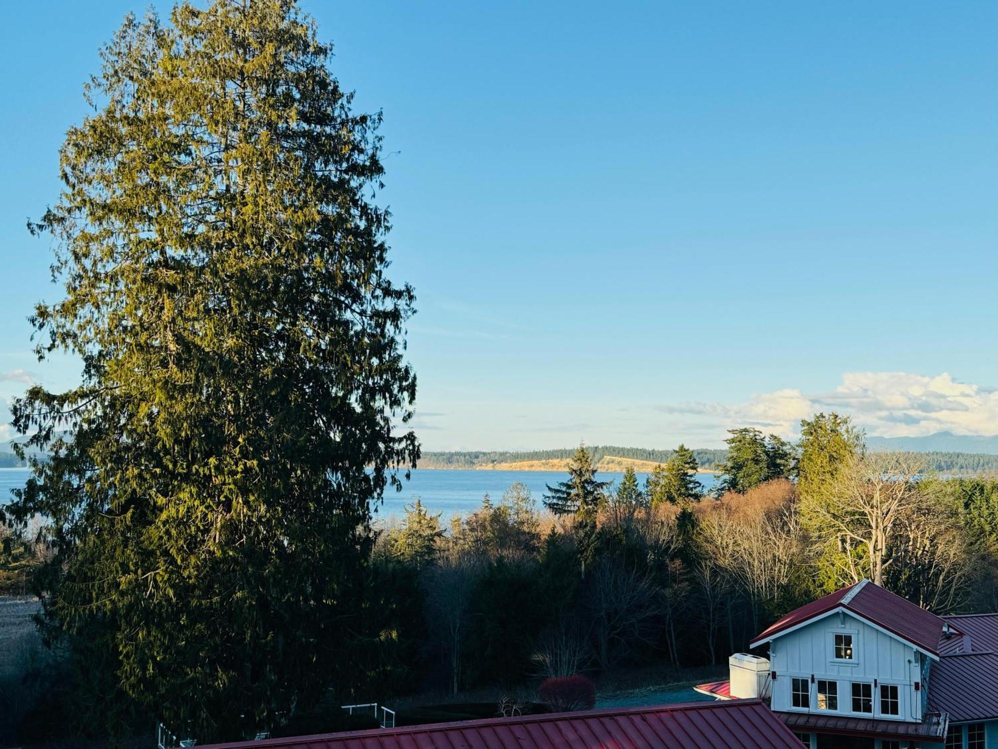 Anacortes Ship Harbor Inn Buitenkant foto